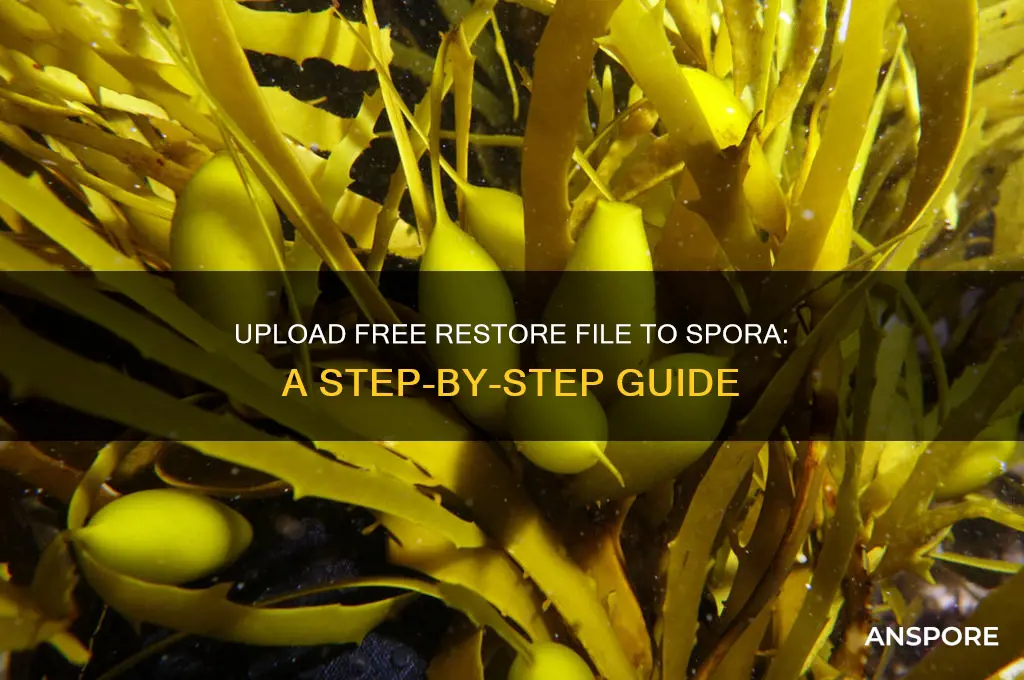 how to upload free restore file to spora