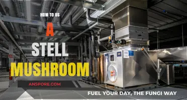 Mastering the Art of Using Steel Mushrooms in Your Projects