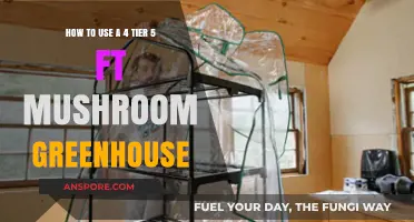Maximize Your Mushroom Yield: A Guide to Using a 5-Foot 4-Tier Greenhouse