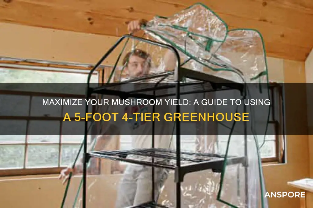 how to use a 4 tier 5 ft mushroom greenhouse