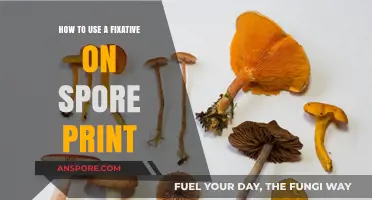 Mastering Spore Print Preservation: A Guide to Applying Fixative