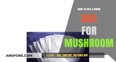Mastering Mushroom Cultivation: A Step-by-Step Guide to Using Grow Bags