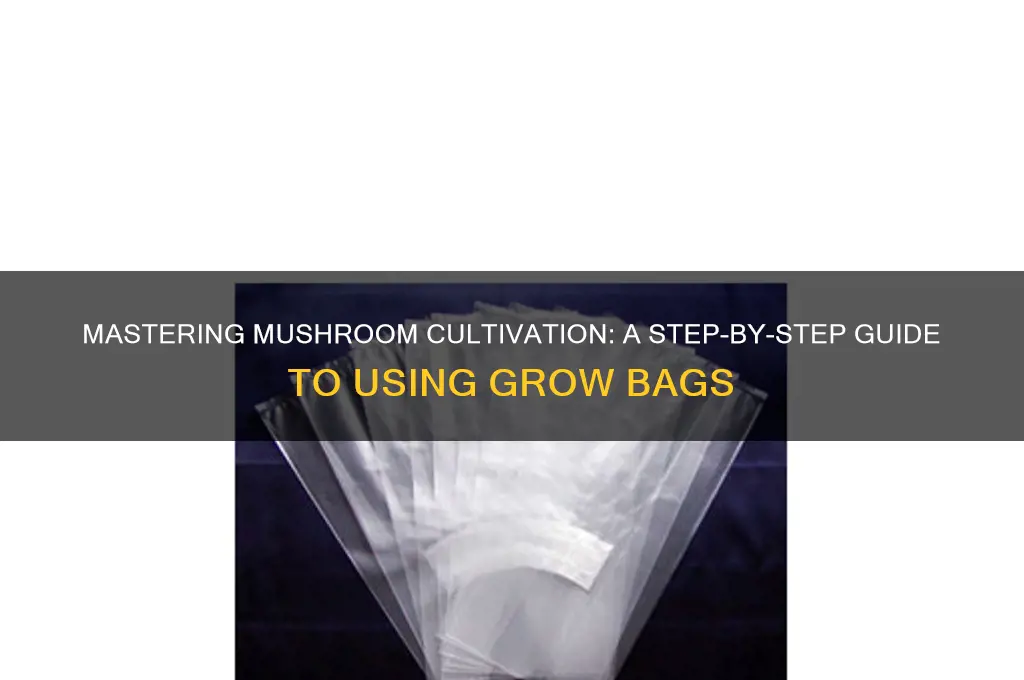how to use a grow bag for mushrooms