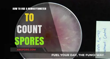 Mastering Hemocytometer Techniques for Accurate Fungal Spore Counting