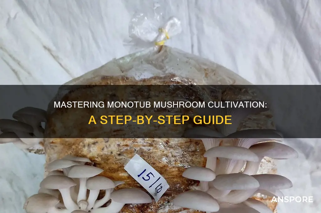how to use a monotub for mushrooms