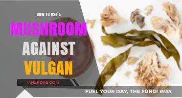 Combat Vulgan Naturally: Effective Mushroom Remedies and Application Tips