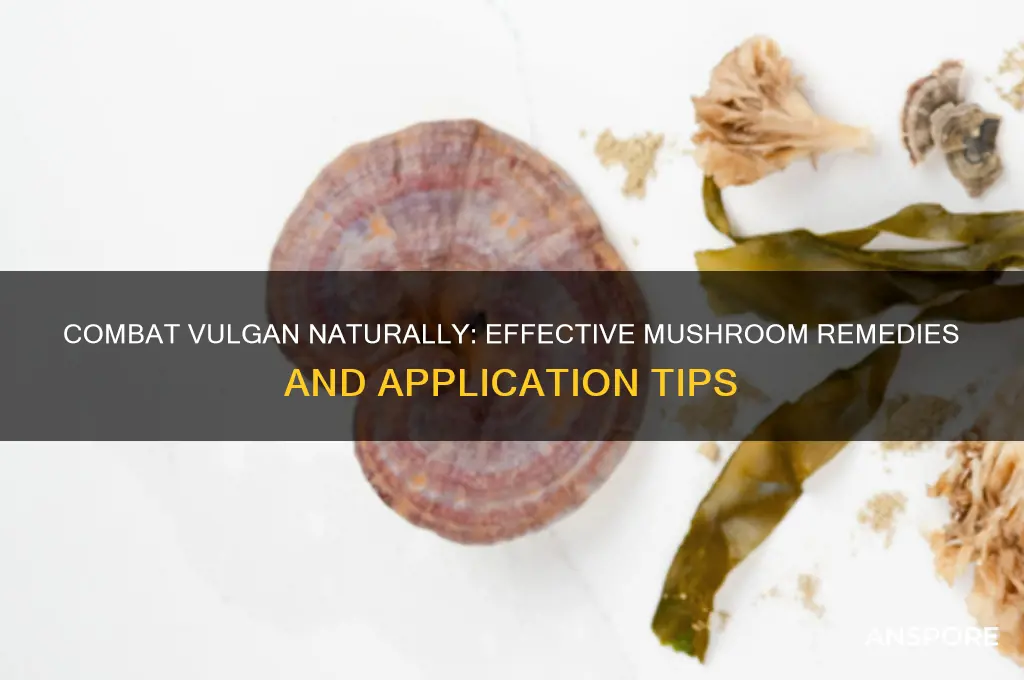 how to use a mushroom against vulgan