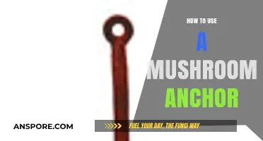 Mastering the Mushroom Anchor: A Step-by-Step Boating Guide