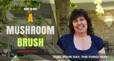Mastering Mushroom Care: A Guide to Using a Mushroom Brush