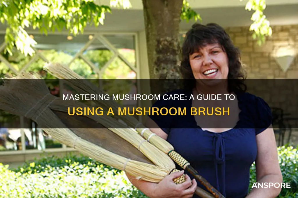 how to use a mushroom brush