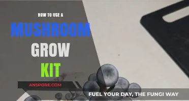 Mastering Mushroom Cultivation: A Beginner's Guide to Using Grow Kits