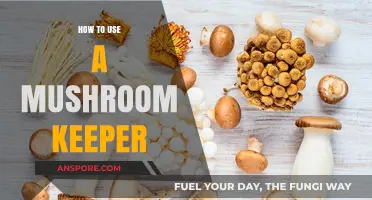 Mastering Mushroom Freshness: A Guide to Using Your Mushroom Keeper