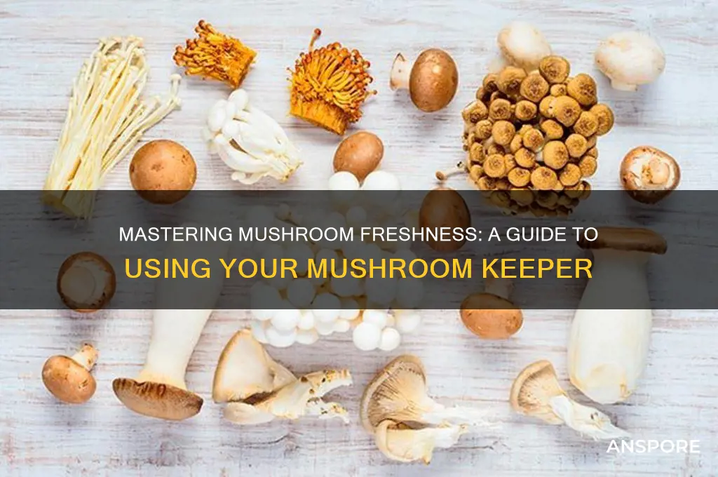 how to use a mushroom keeper