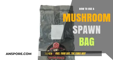Mastering Mushroom Cultivation: A Step-by-Step Guide to Using Spawn Bags