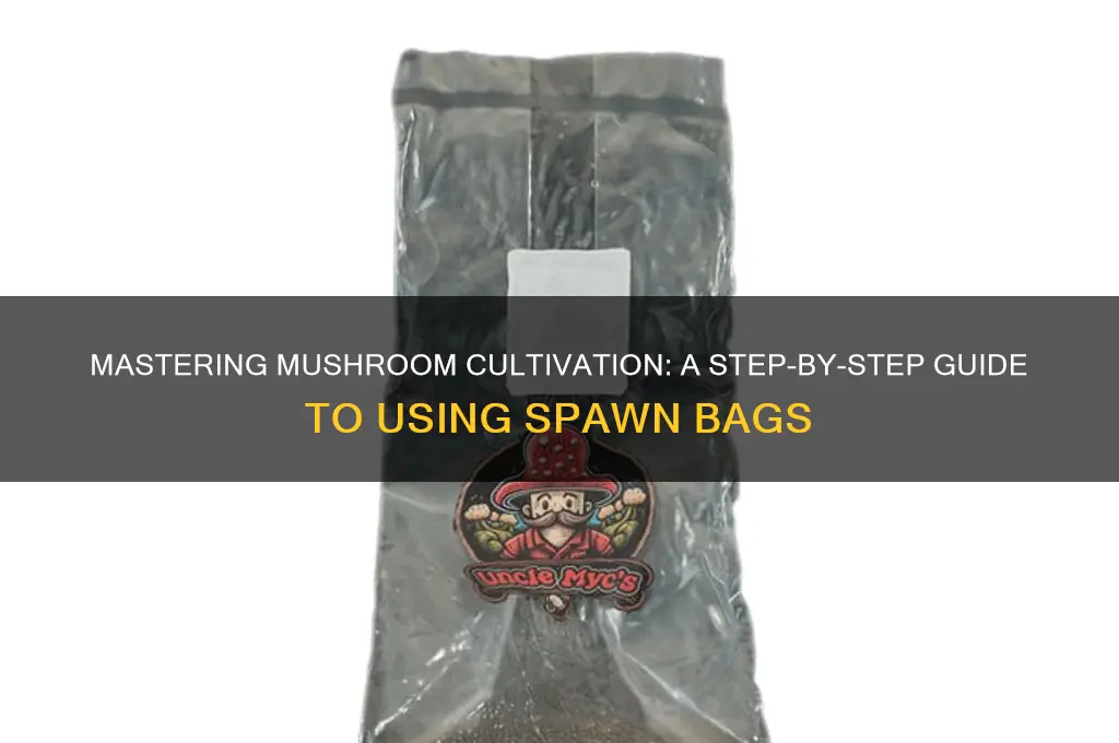 how to use a mushroom spawn bag