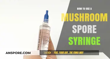 Mastering Mushroom Cultivation: A Step-by-Step Guide to Using Spore Syringes