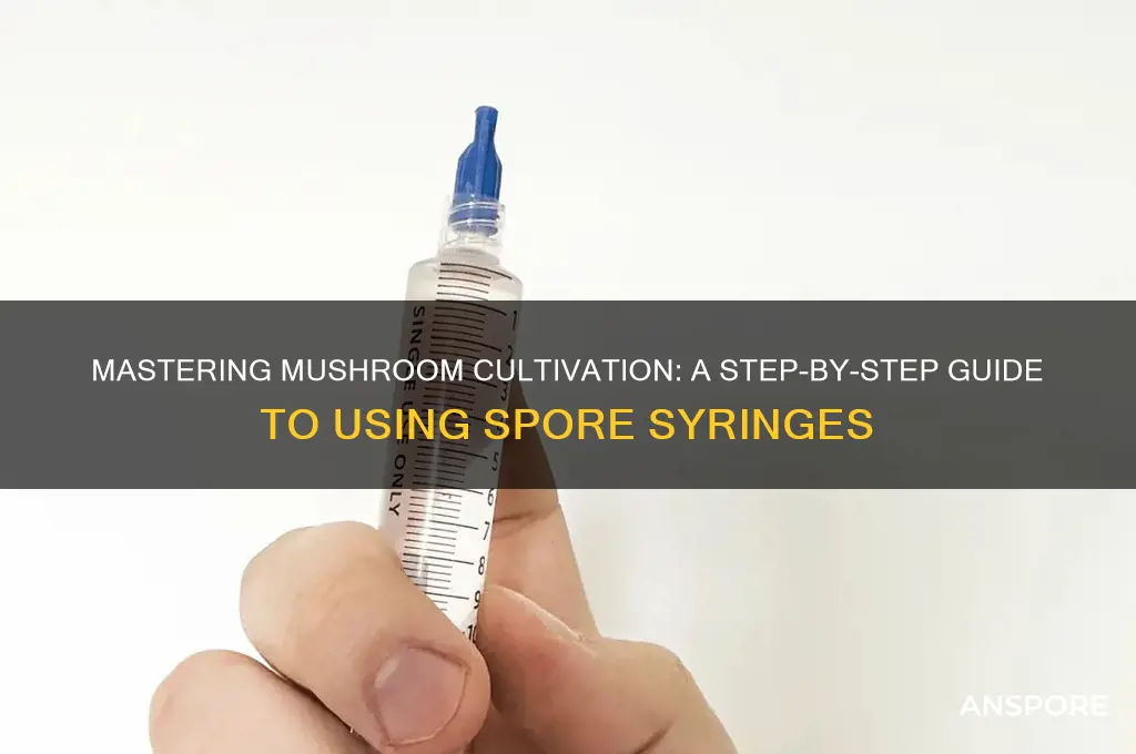 how to use a mushroom spore syringe
