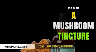 Unlocking Wellness: A Beginner’s Guide to Using Mushroom Tinctures