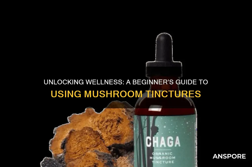 how to use a mushroom tincture