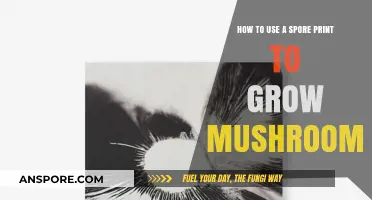 Mastering Mushroom Cultivation: A Step-by-Step Guide to Using Spore Prints