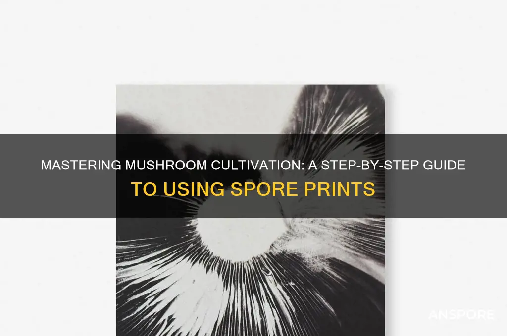 how to use a spore print to grow mushrooms