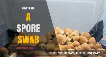 Mastering Spore Swab Techniques: A Step-by-Step Guide for Beginners