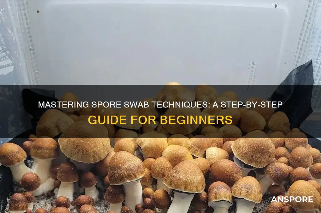 how to use a spore swab