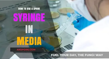 Mastering Spore Syringe Techniques for Effective Media Inoculation