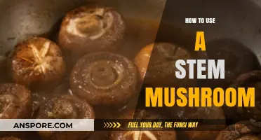 Mastering Stem Mushrooms: Creative Uses and Cooking Techniques