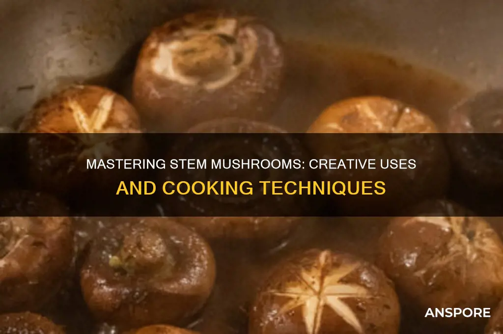 how to use a stem mushroom
