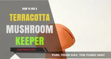 Mastering Freshness: A Guide to Using Your Terracotta Mushroom Keeper