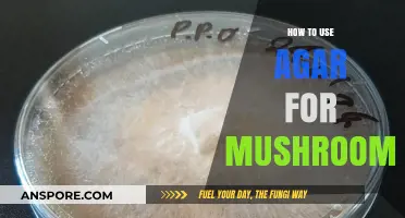 Mastering Mushroom Cultivation: A Guide to Using Agar Effectively