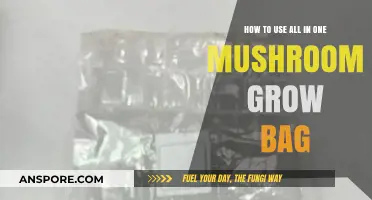 Mastering Mushroom Cultivation: A Guide to All-in-One Grow Bags