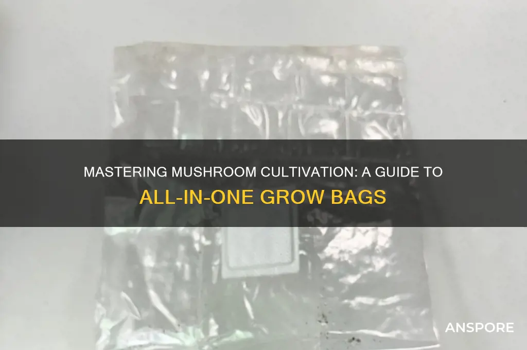 how to use all in one mushroom grow bag