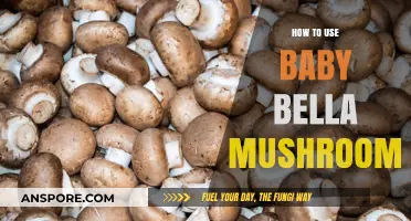 Mastering Baby Bella Mushrooms: Delicious Recipes and Cooking Tips