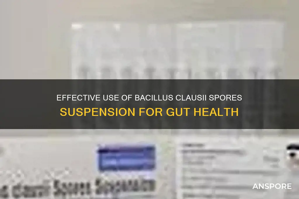 how to use bacillus clausii spores suspension