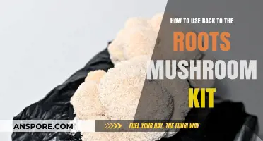 Grow Your Own Mushrooms: A Guide to Using Back to the Roots Kit