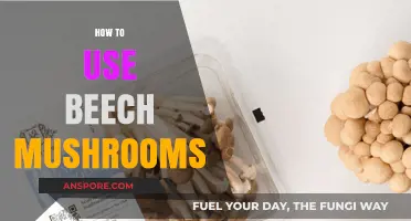 Delicious Beech Mushrooms: Creative Cooking Tips and Recipe Ideas