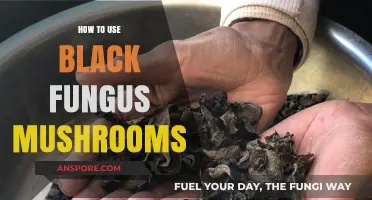 Unlocking Culinary Magic: Creative Ways to Use Black Fungus Mushrooms