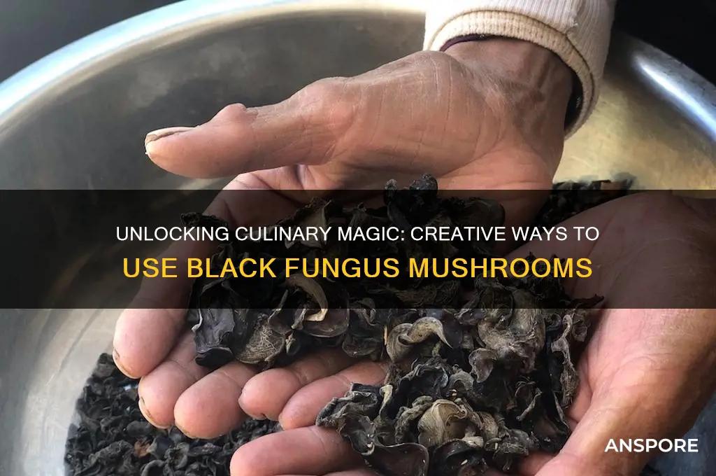 how to use black fungus mushrooms