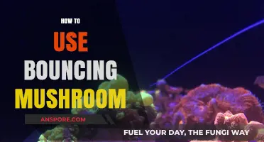 Mastering the Art of Using Bouncing Mushrooms in Creative Ways
