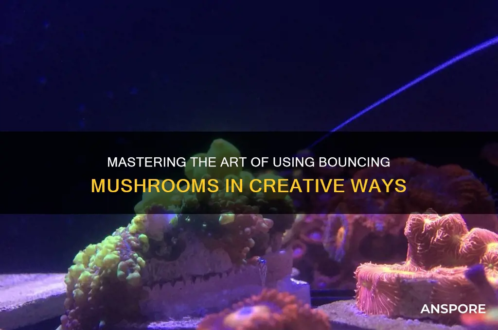 how to use bouncing mushroom