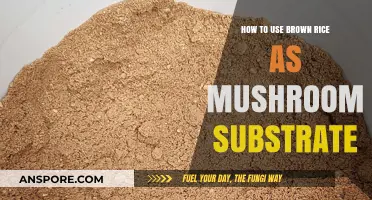 Growing Mushrooms on Brown Rice: A Simple Substrate Guide
