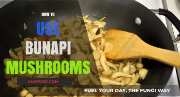 Unlocking Bunapi Mushroom Magic: Creative Culinary Uses and Health Benefits