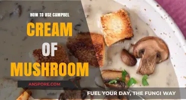 Mastering Campbell's Cream of Mushroom: Creative Recipes & Cooking Tips