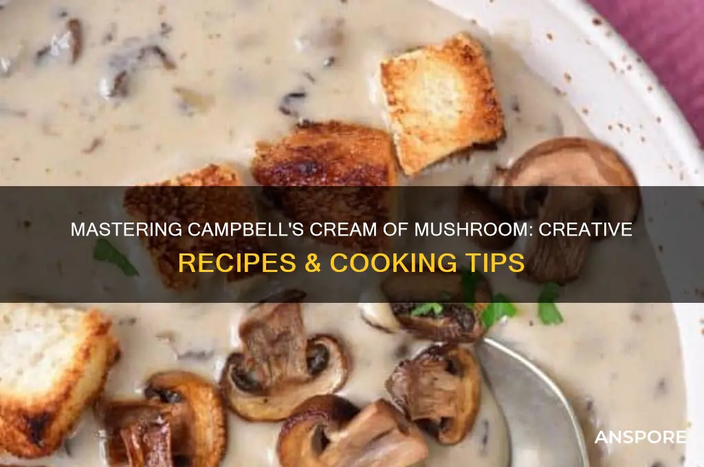 how to use campbel cream of mushroom