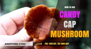 Sweeten Your Dishes: A Guide to Using Candy Cap Mushrooms