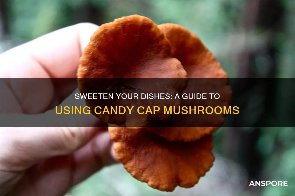 how to use candy cap mushrooms