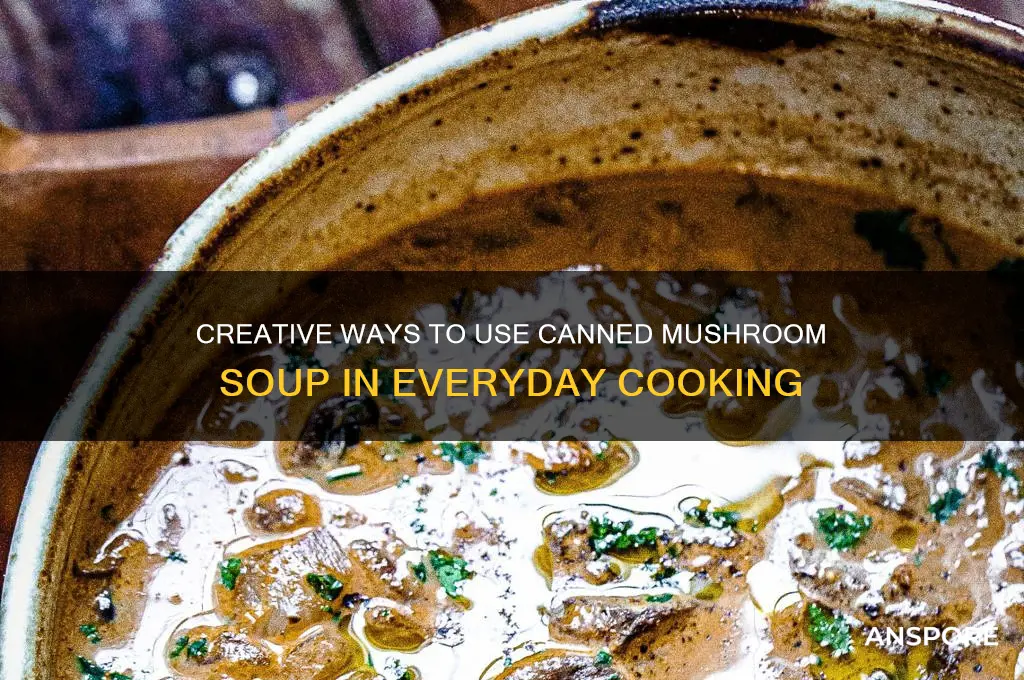 how to use cans of mushroom soup