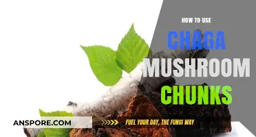 Unlocking Chaga's Benefits: Creative Ways to Use Mushroom Chunks
